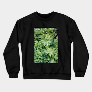 green plants Crewneck Sweatshirt